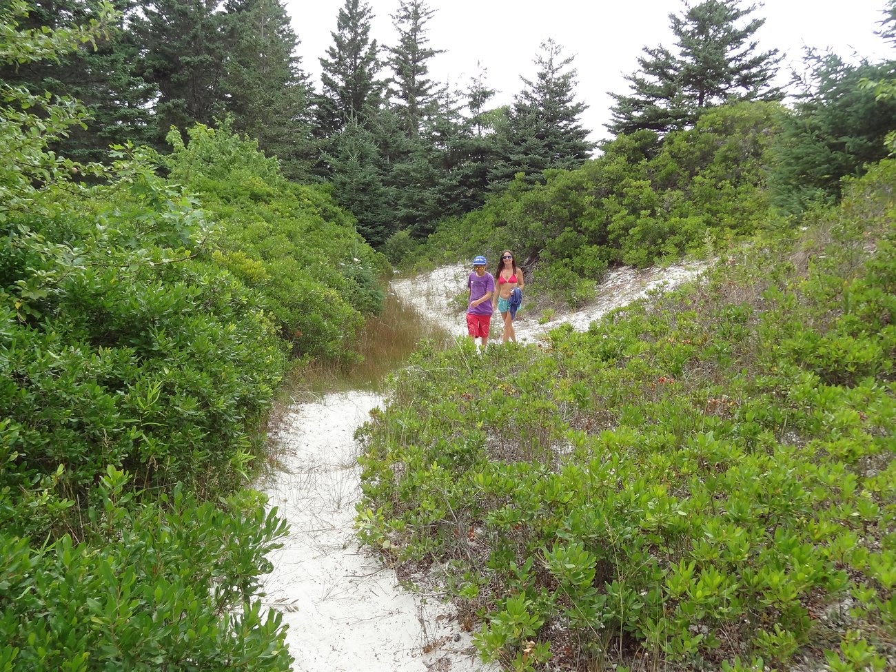 Katalin és Álmos a homokos erdei ösvényen