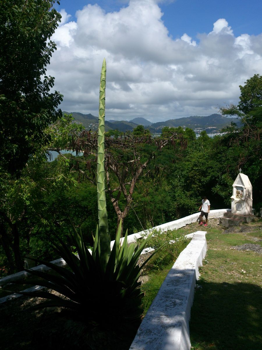St. Anne Martinique Kálvária-domb