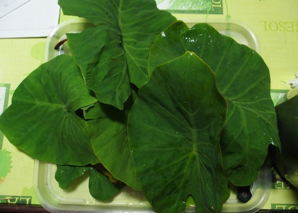 callaloo
